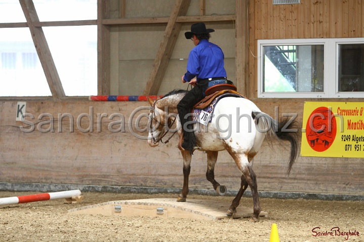 28-ApHC OT_240.jpg